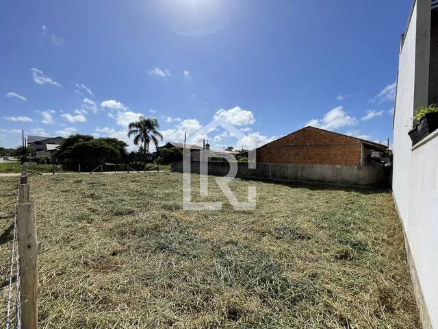 #169 - Terreno para Venda em Balneário Barra do Sul - SC - 2