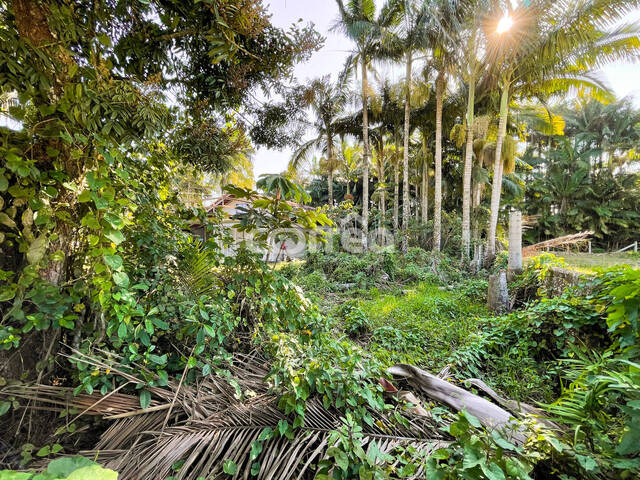 #179 - Terreno para Venda em Balneário Barra do Sul - SC - 3